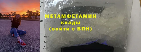 гидра Белокуриха