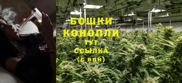 стаф Ижевск