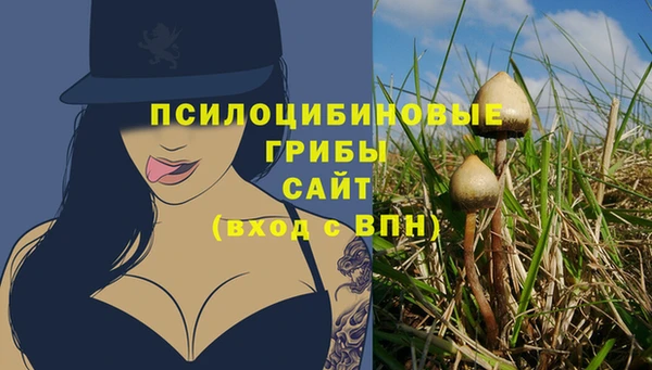 гидра Белокуриха