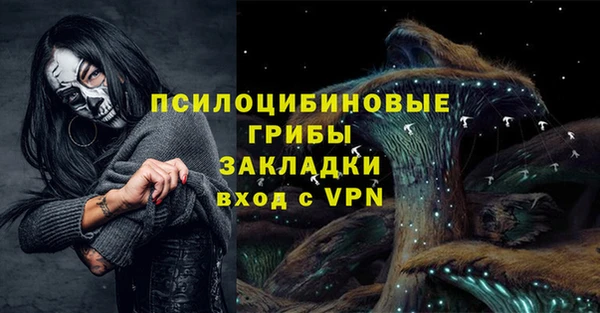 гидра Белокуриха