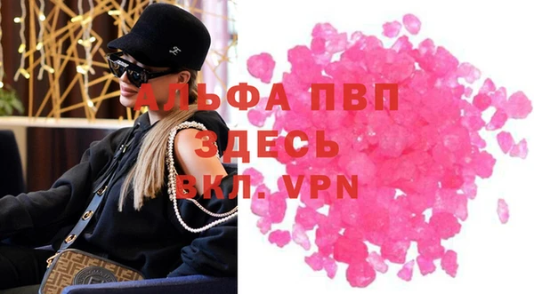 гидра Белокуриха
